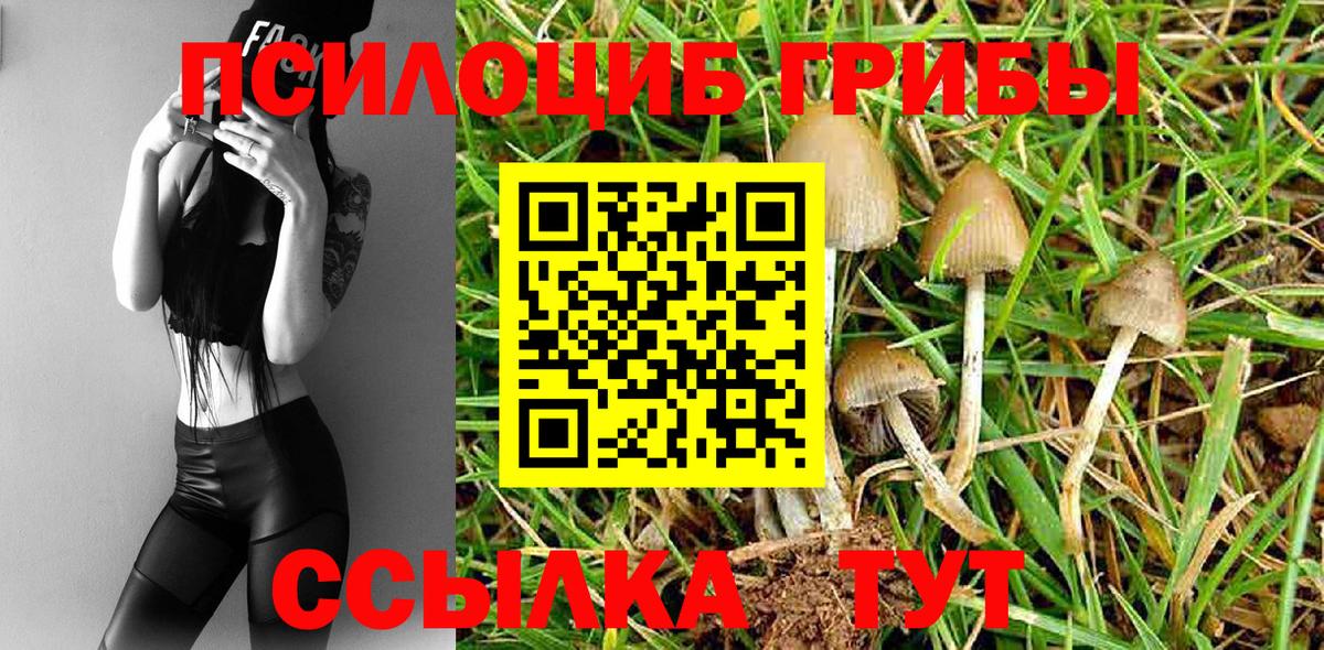 Псилоцибиновые грибы GOLDEN TEACHER  Вход с VPN  Вязники 